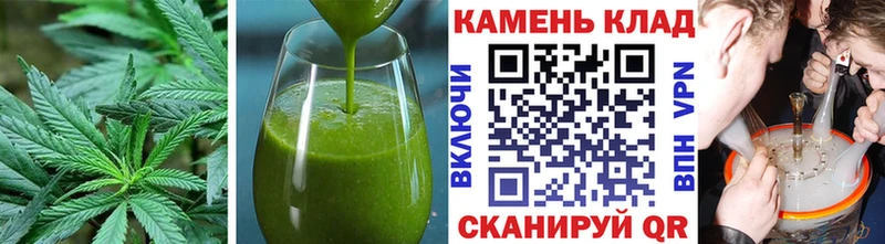 OMG ONION  Приволжский  Cannafood конопля 