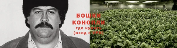 молекула духа Лагань