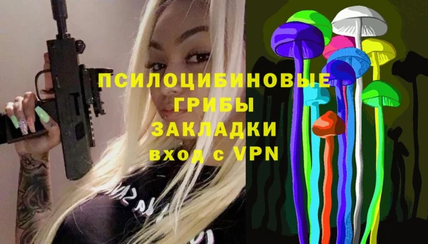 герыч Ладушкин