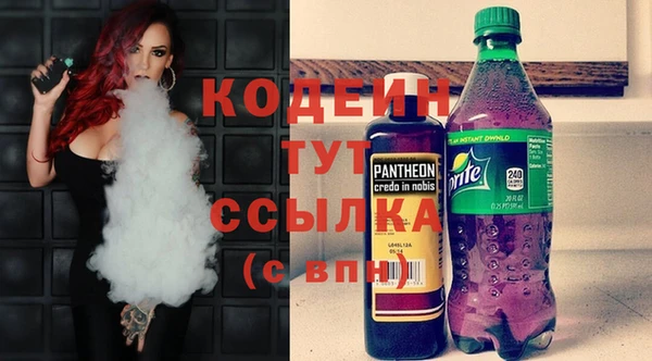 молекула духа Лагань