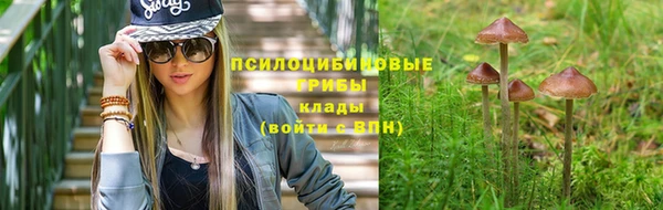 герыч Ладушкин