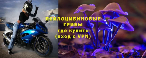молекула духа Лагань