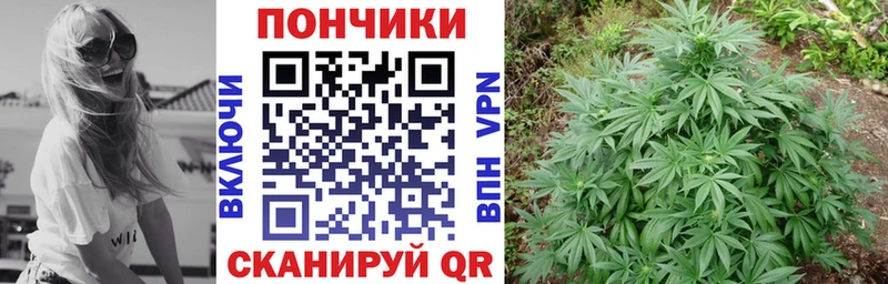 Шишки марихуана семена  omg сайт  Приволжский 